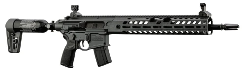 Sig Sauer Virtus MCX PCP 1.jpg