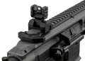 Sig Sauer Virtus MCX PCP 11.jpg