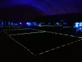 blackminton court.jpg