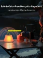 Foldable-Lantern-L51980 5.jpg